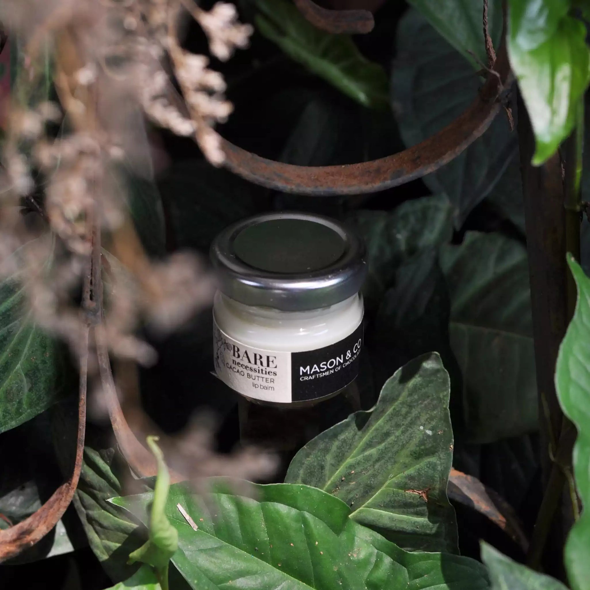 Mason & Co Lip Balm